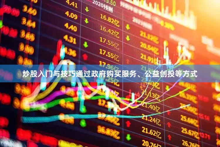 炒股入门与技巧通过政府购买服务、公益创投等方式