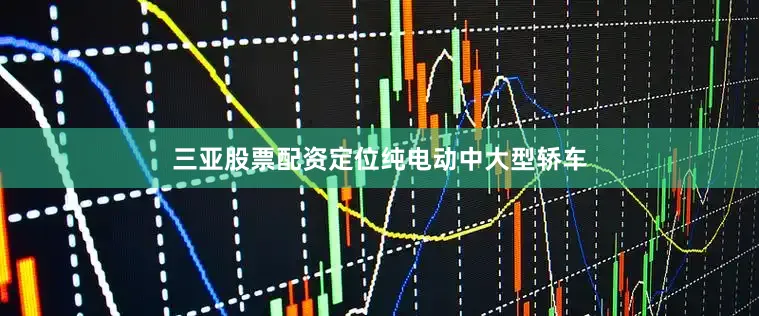 三亚股票配资定位纯电动中大型轿车