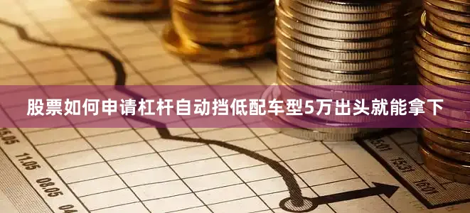 股票如何申请杠杆自动挡低配车型5万出头就能拿下