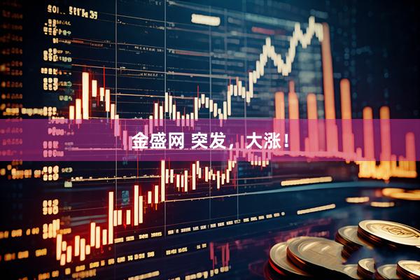 金盛网 突发，大涨！