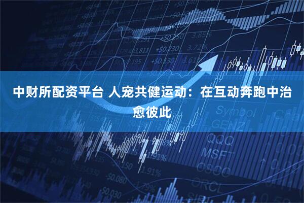 中财所配资平台 人宠共健运动：在互动奔跑中治愈彼此