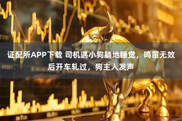 证配所APP下载 司机遇小狗躺地睡觉，鸣笛无效后开车轧过，狗主人发声