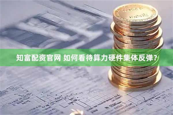 知富配资官网 如何看待算力硬件集体反弹？